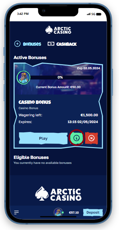 Arctic Casino — grundig anmeldelse